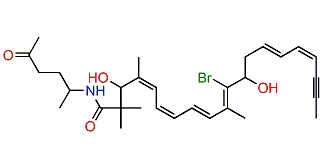 Clathrynamide C